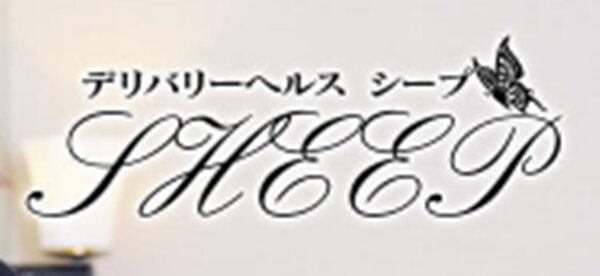 sheep -本店-