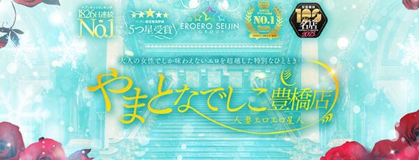 やまとなでしこ豊橋店～人妻エロエロ星人～