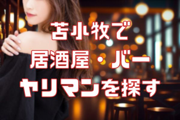 苫小牧の居酒屋でセフレを見つける